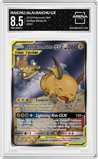 Raichu & Alolan Raichu GX