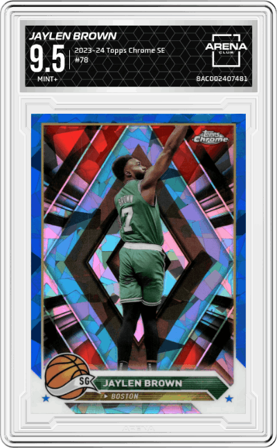 Jaylen Brown
