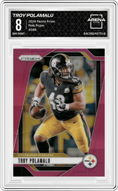 Troy Polamalu