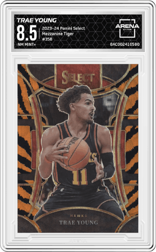 Trae Young from the 2023-24 Panini Select  set featuring a Tiger parallel graded by Arena Club and given an overall grade of 8.5.