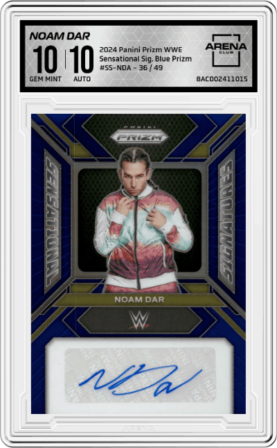 Noam Dar
