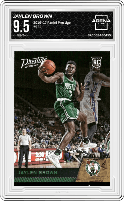 Jaylen Brown