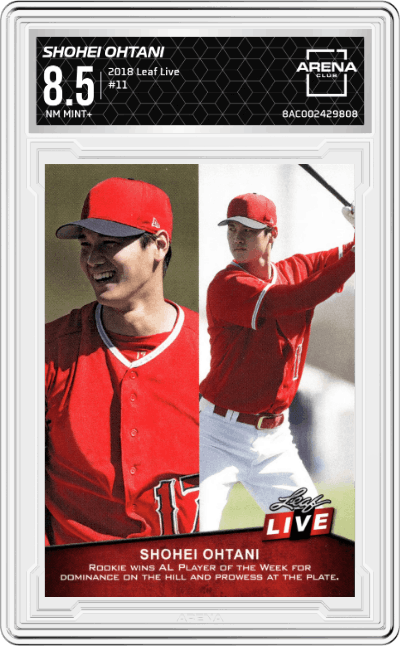 Shohei Ohtani