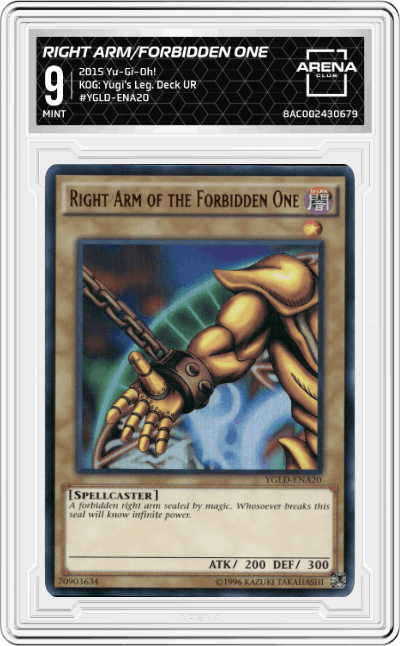 Right Arm of the Forbidden One 