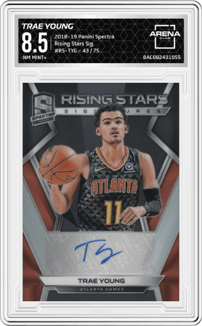 Trae Young