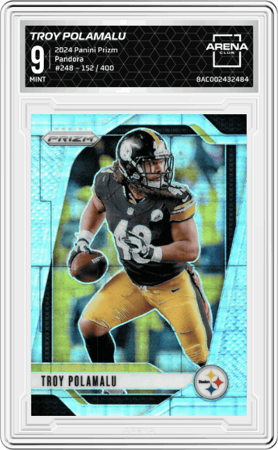 Troy Polamalu