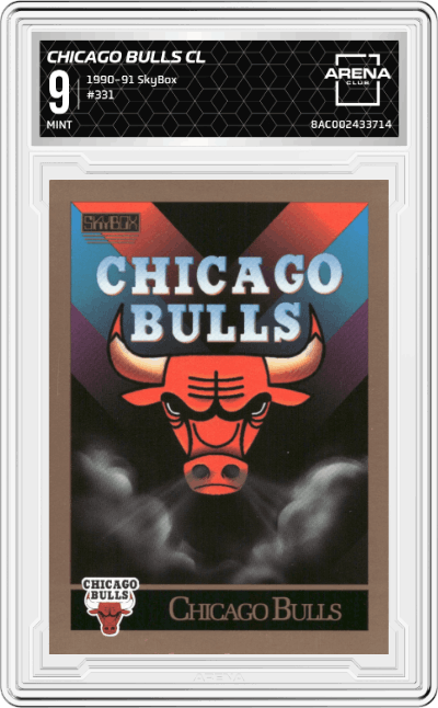 Chicago Bulls Checklist 