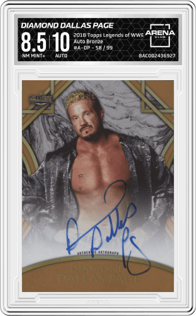 Diamond Dallas Page