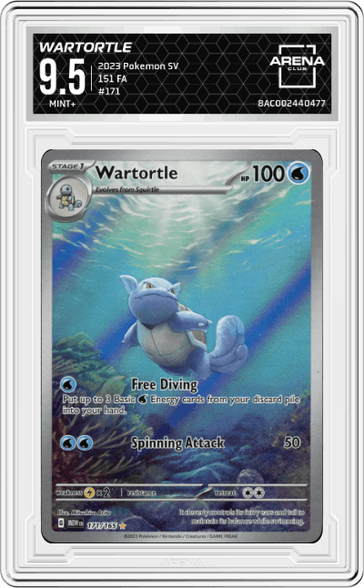 Wartortle
