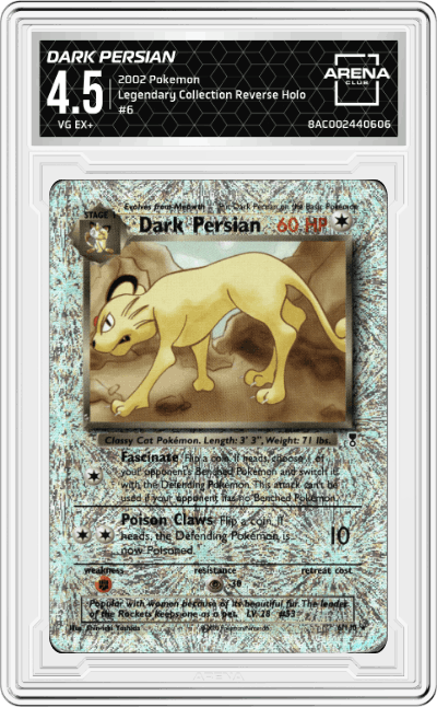 Dark Persian