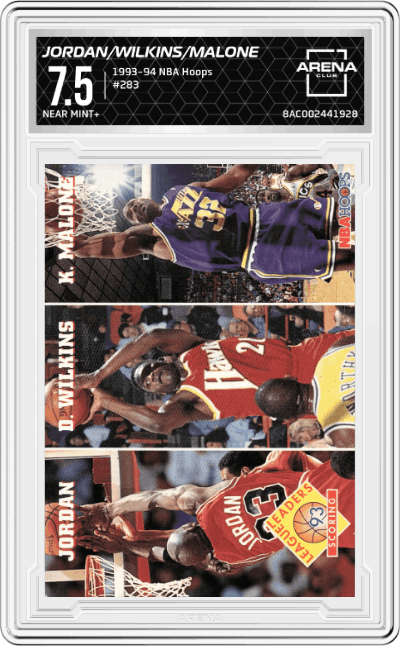 Michael Jordan/Dominique Wilkins/Karl Malone