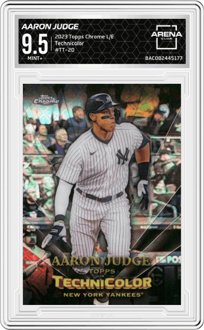 Aaron Judge