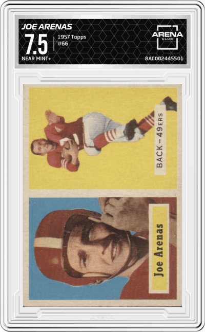 Joe Arenas
