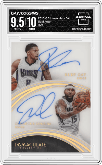 Rudy Gay/DeMarcus Cousins