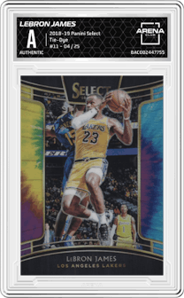 LeBron James from the 2018-19 Panini Select  set featuring a Tie-Dye parallel graded by Arena Club and given an overall grade of 0.