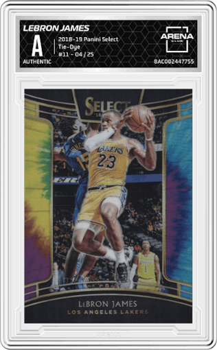 LeBron James from the 2018-19 Panini Select  set featuring a Tie-Dye parallel graded by Arena Club.
