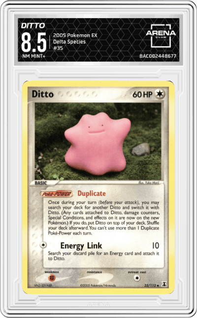 Ditto