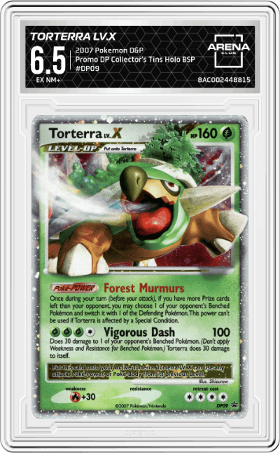 Torterra Lv.X