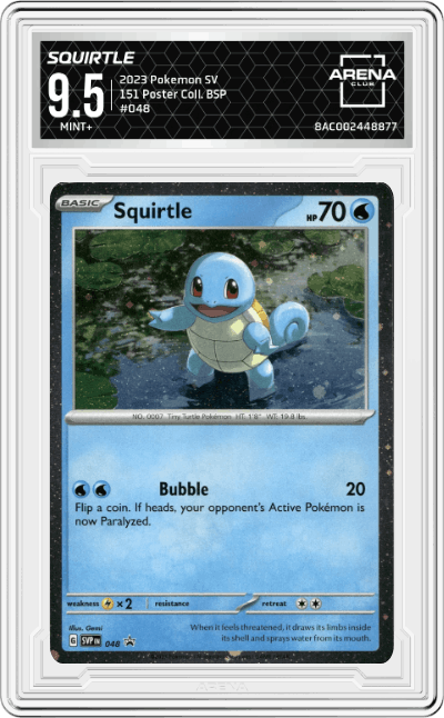 Squirtle