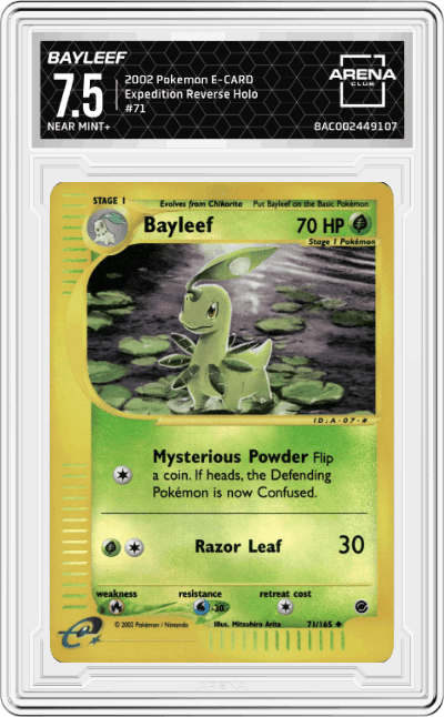 Bayleef