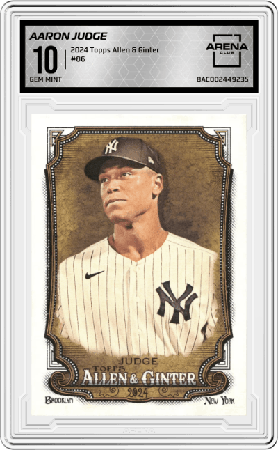 Aaron Judge