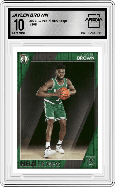 Jaylen Brown