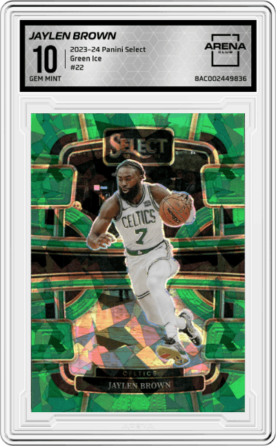 Jaylen Brown