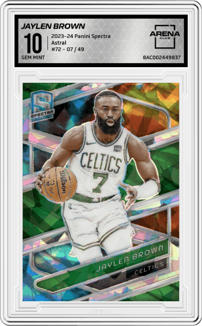 Jaylen Brown