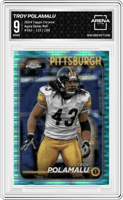 Troy Polamalu