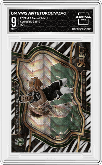 Giannis Antetokounmpo