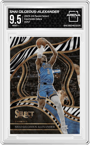 Shai Gilgeous-Alexander from the 2023-24 Panini Select  set featuring a Zebra Prizm parallel graded by Arena Club and given an overall grade of 9.5.