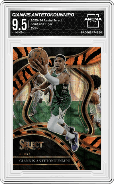 Giannis Antetokounmpo