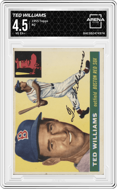 Ted Williams