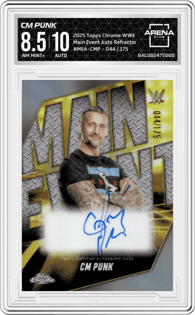 CM Punk