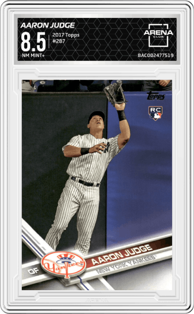 Aaron Judge