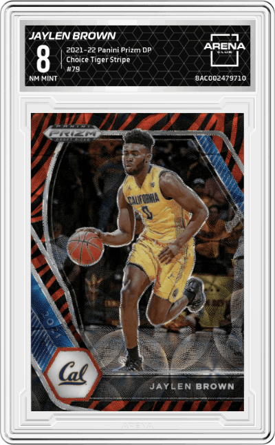 Jaylen Brown