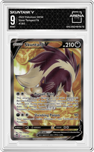 Skuntank V
