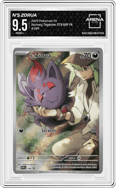 N's Zorua