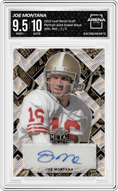 Joe Montana