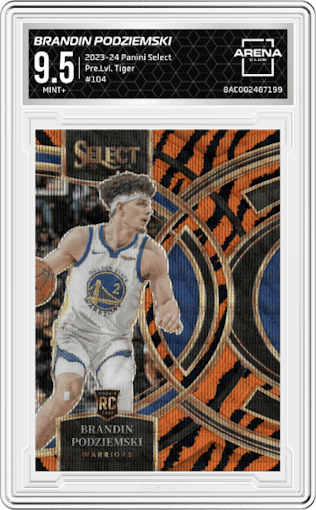 Brandin Podziemski from the 2023-24 Panini Select  set featuring a Tiger parallel graded by Arena Club and given an overall grade of 9.5.