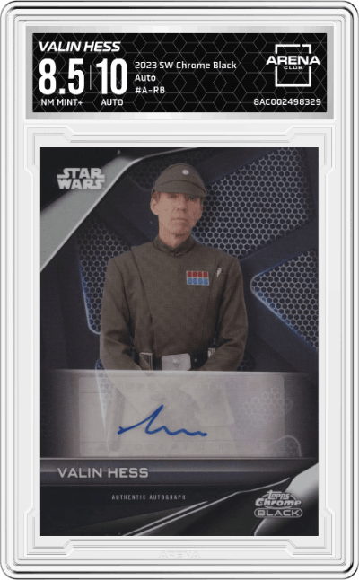 Richard Brake as Valin Hess