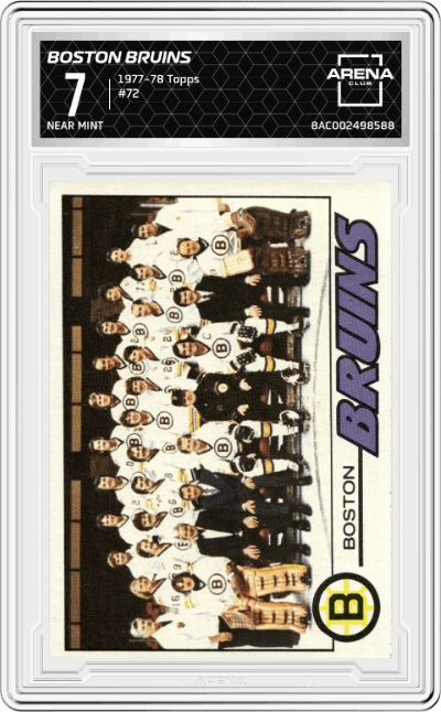 Boston Bruins Team Card