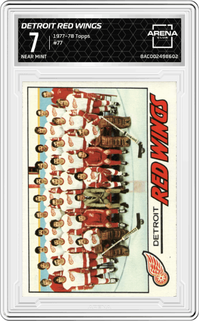 Detroit Red Wings Team Card