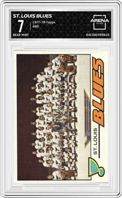 St. Louis Blues Team Card