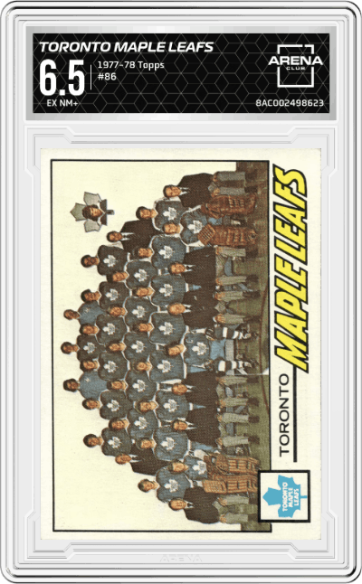 Toronto Maple Leafs Team Card