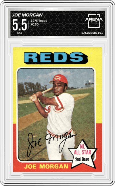 Joe Morgan