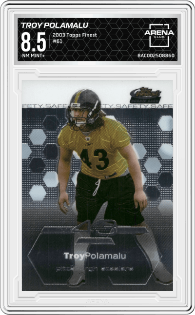 Troy Polamalu