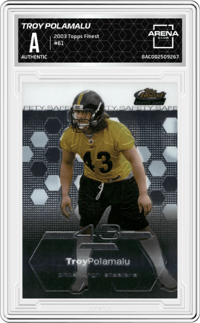 Troy Polamalu