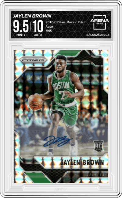 Jaylen Brown