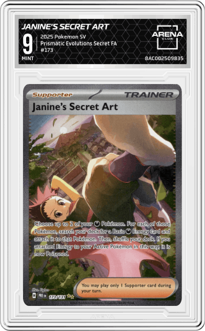 Janine's Secret Art
